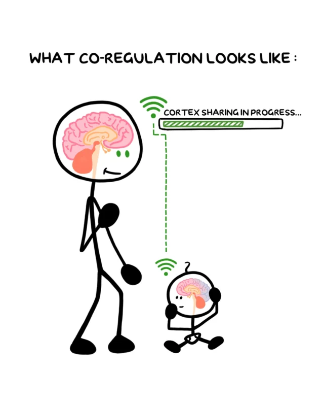 Co-regulation is when we “lend our cortex” to someone else